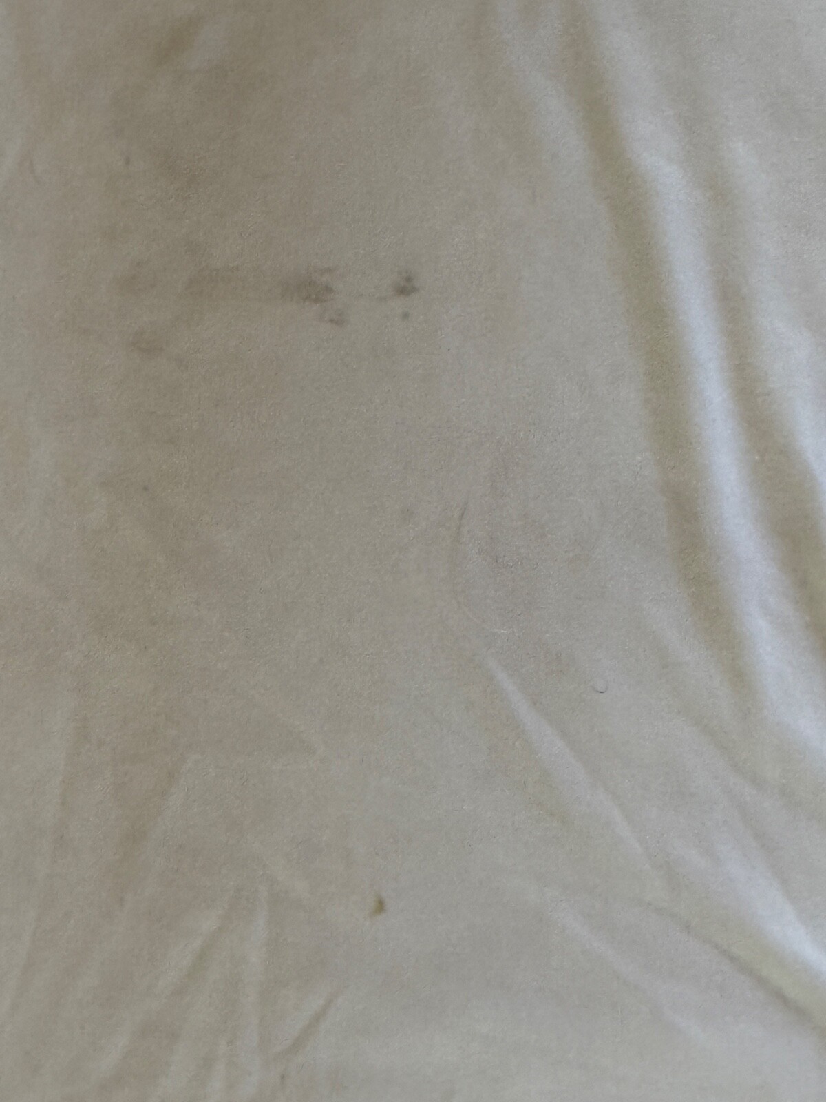 Sport-Tek Short Sleeve Shirt Men's White Orange 5K Kildeer Event Size Large gallery