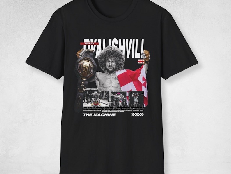 Gildan Mens Georgian MMA Champion Vintage Bootleg Graphic Tee T-Shirt gallery