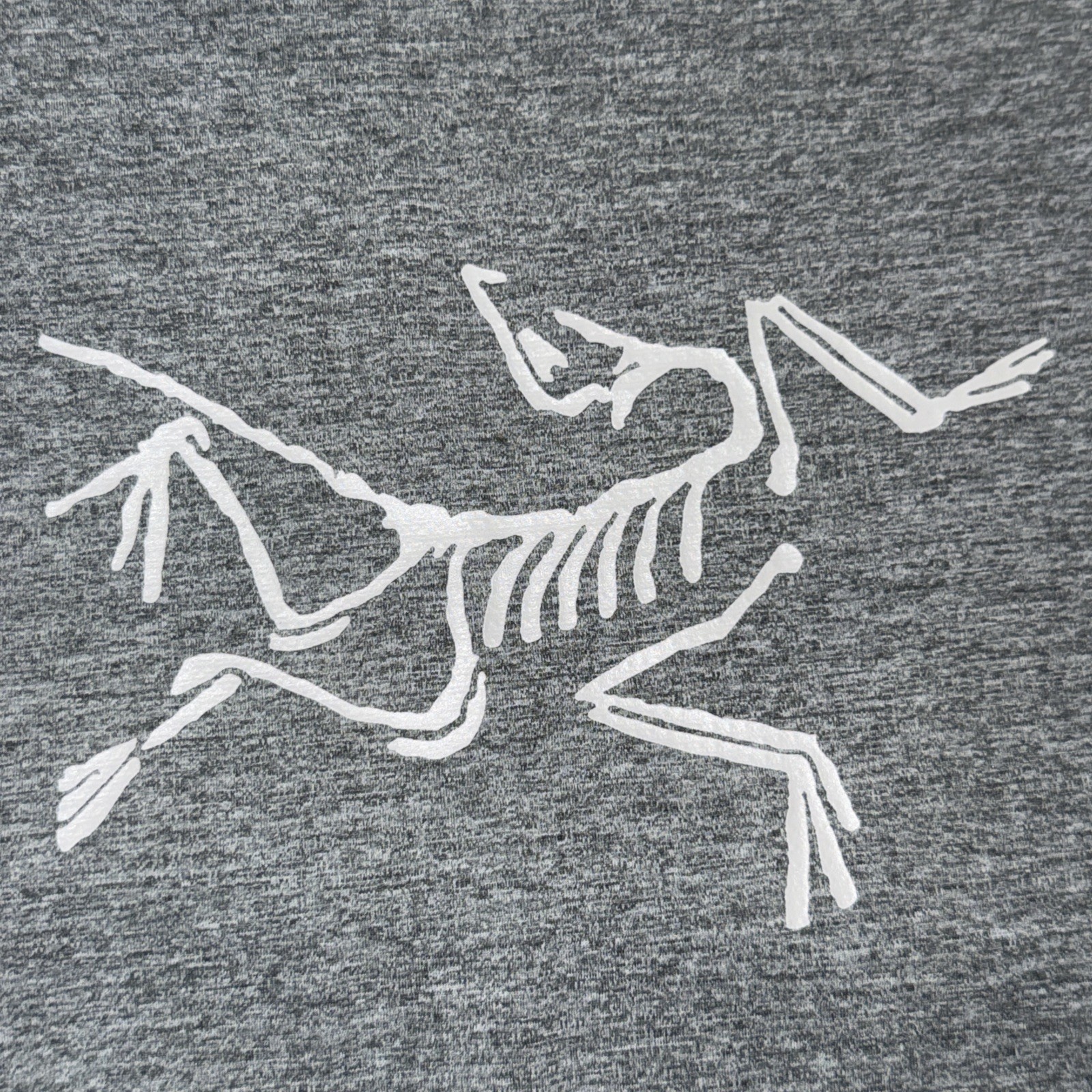 Arcteryx Cormac T-Shirt Men's XL Gray Archaeopteryx Logo Gorpcore Skeleton gallery
