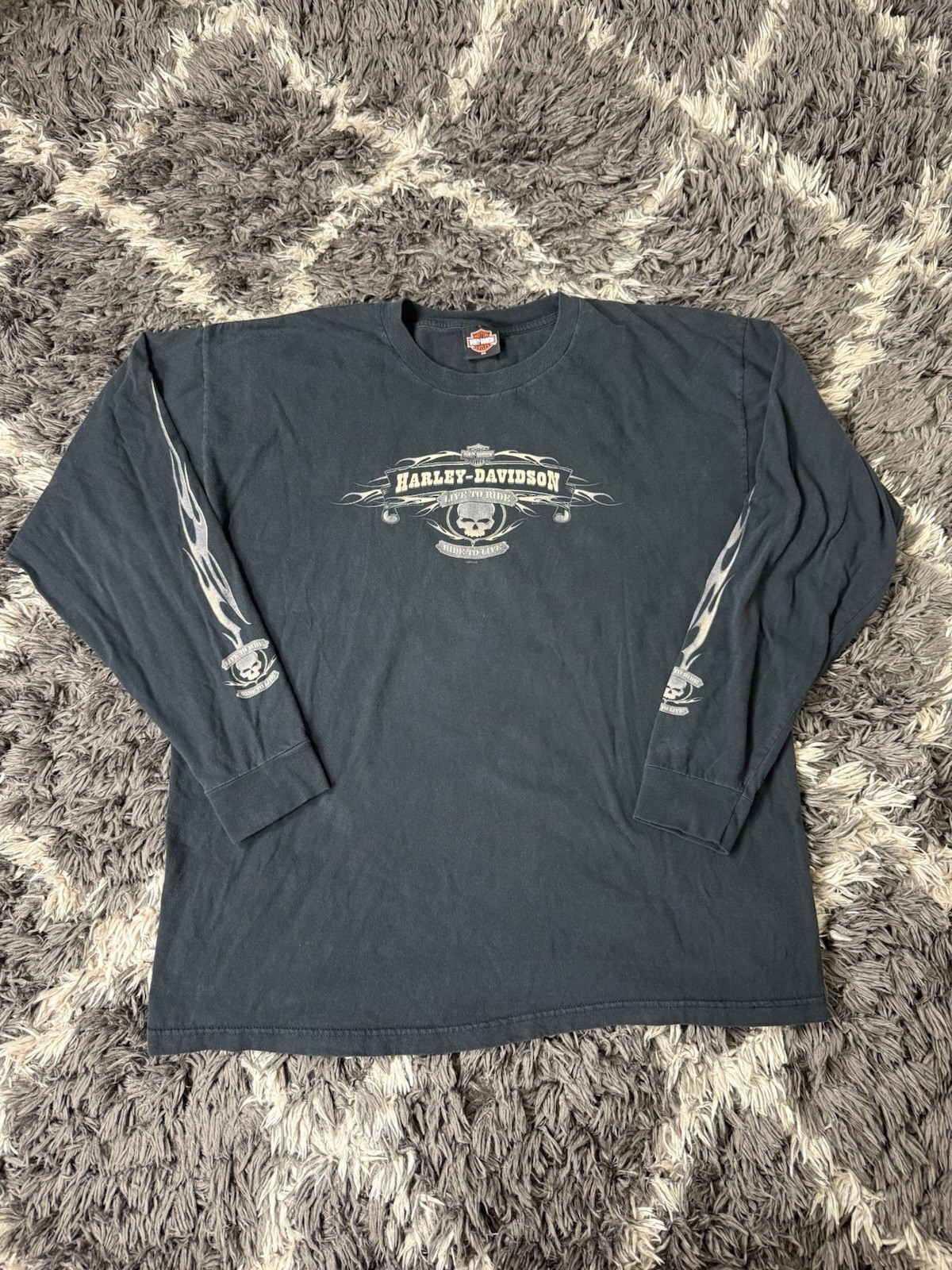 Vintage Harley Davidson T Shirt 2X Flame Naples Florida Lizard Skull Long Sleeve gallery