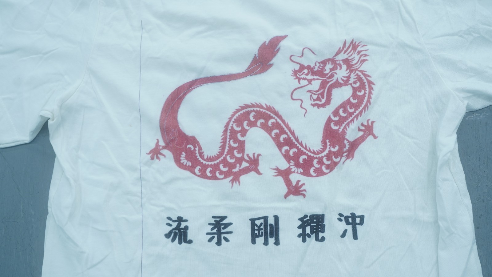 RONNIE VAN CLIEF CHINESE GOJU KUNG FU DRAGON LOGO GRAPHIC T-SHIRT SIZE LARGE gallery
