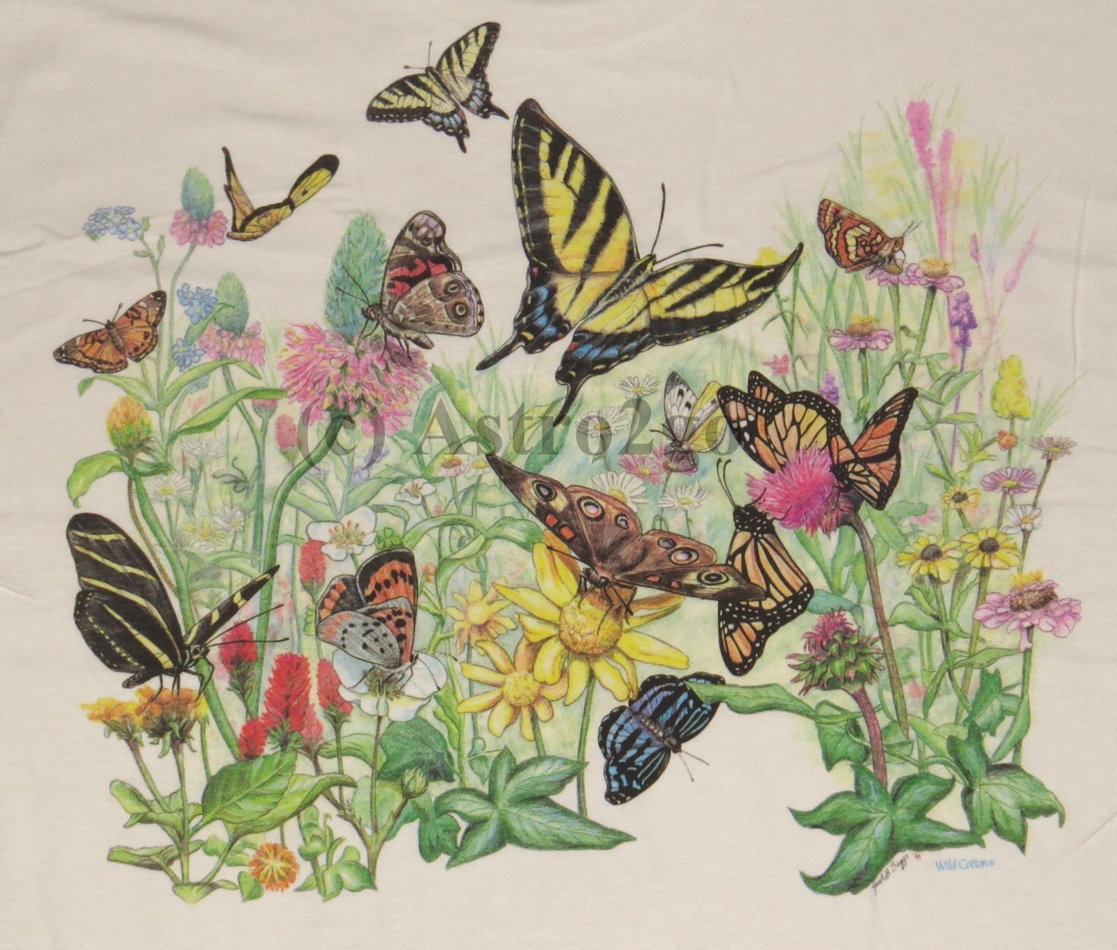 BUTTERFLY GARDEN-Butterflies Flowers Plants Insects Nature Science T shirt S-XXL gallery