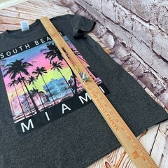 Delta Pro Weight Men’s Gray South Beach Graphic Print Short Sleeve T-Shirt Small