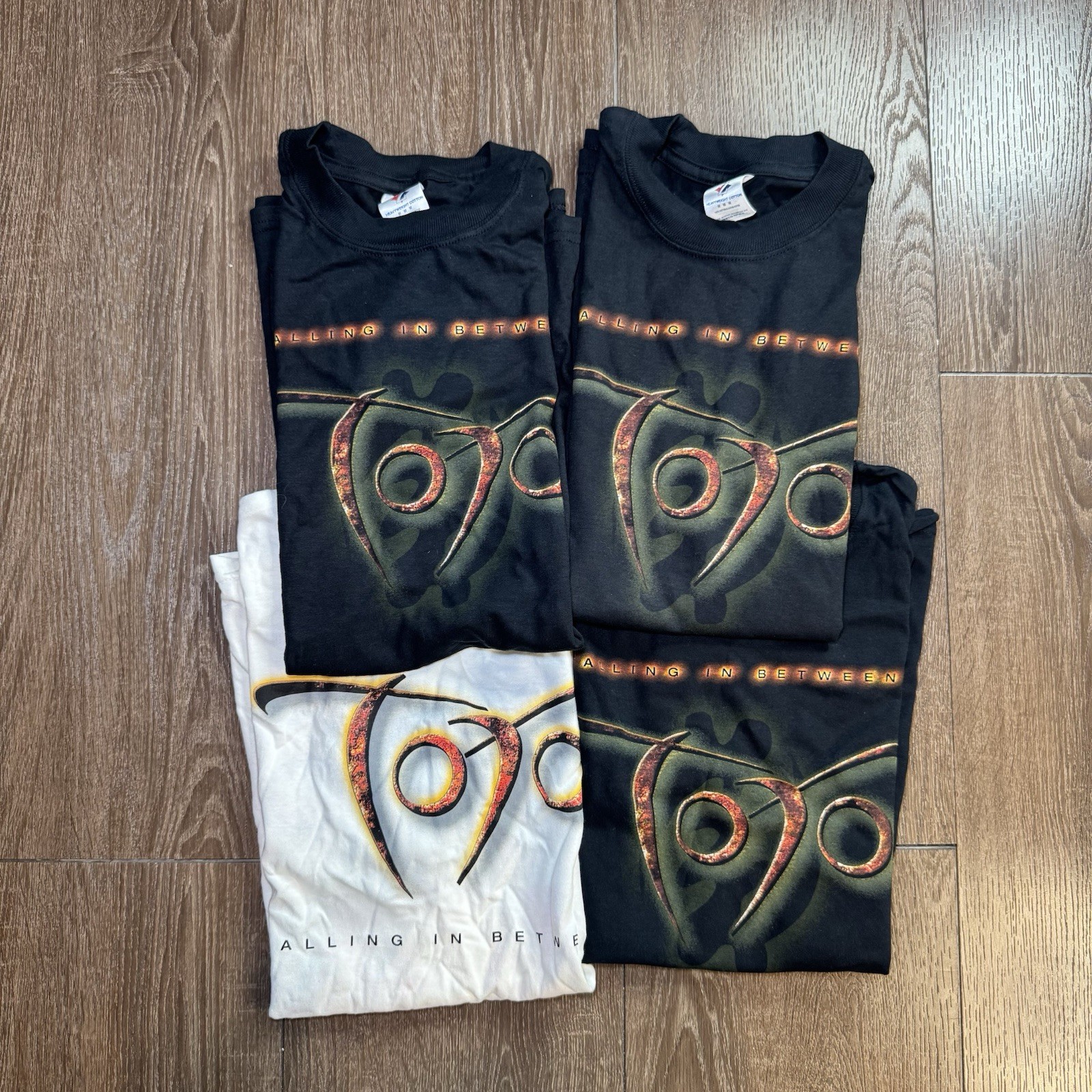 2006 TOTO “Falling In Between” Vintage Band Tee Bundle Of 4 Jerzees/Gildan gallery