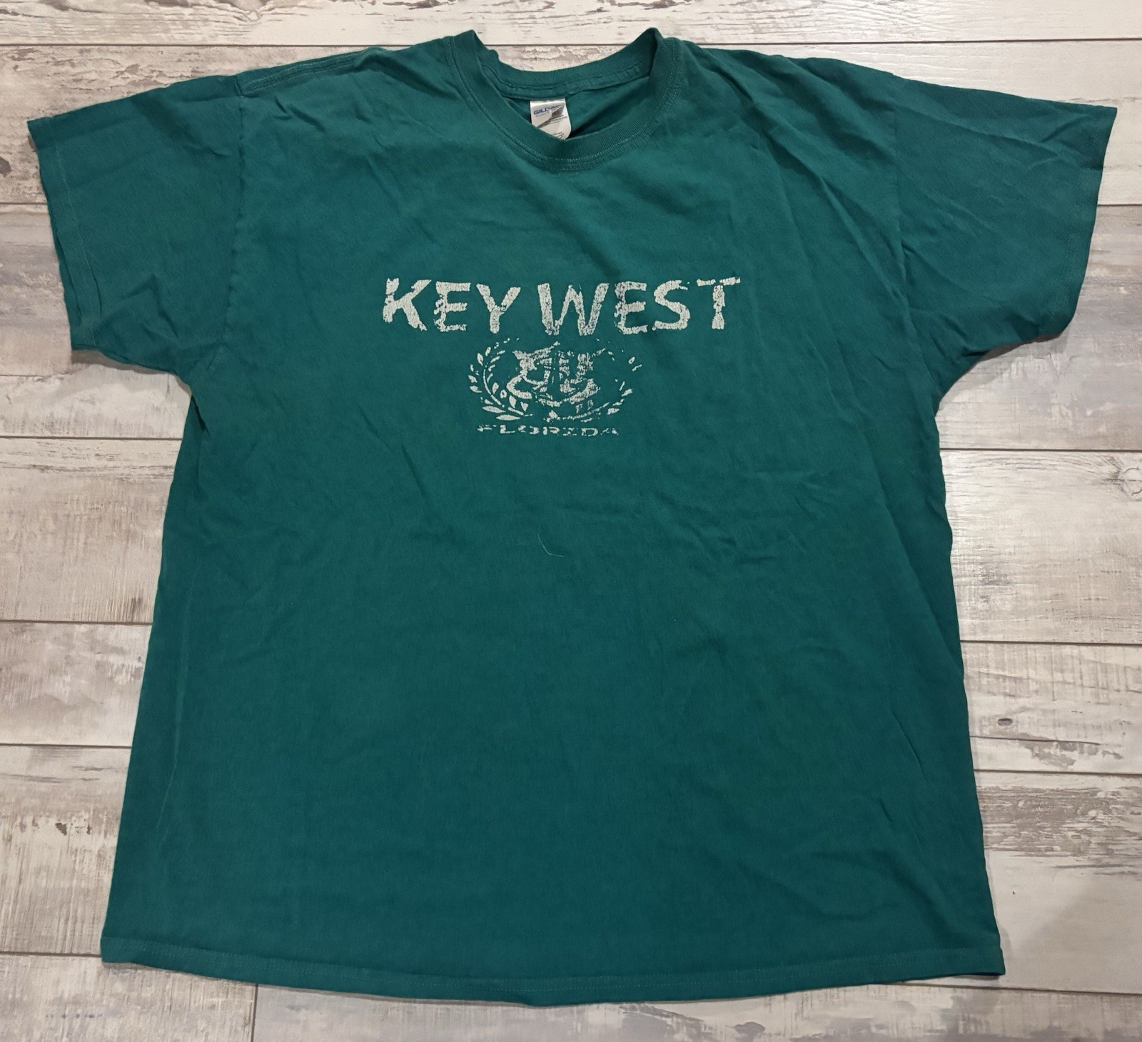 Gildan Short Sleeve Vintage-Wash T-shirt size XL – Teal Green/Key West B