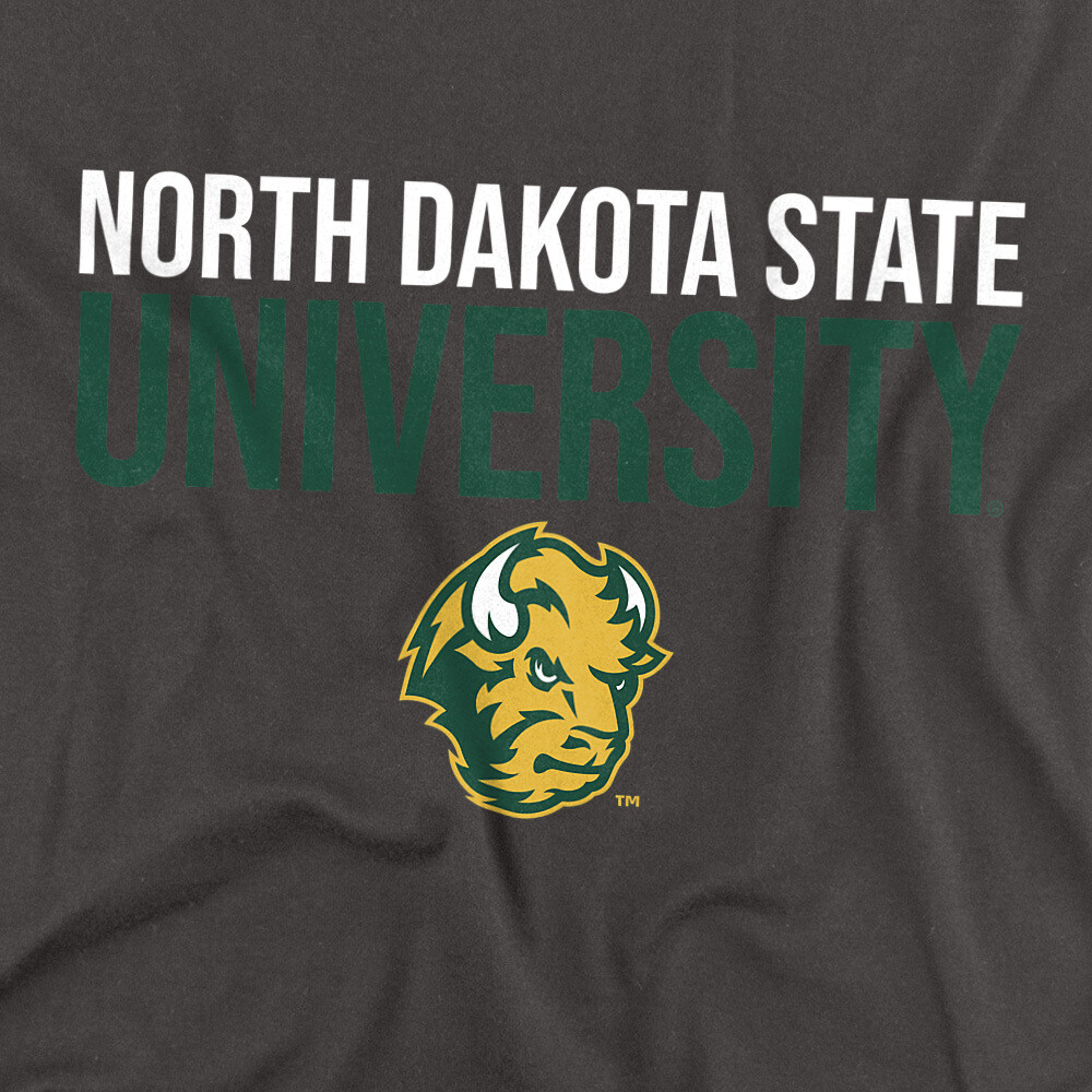 North Dakota State University Adult T-Shirt Stacked, Charcoal, S-5XL gallery