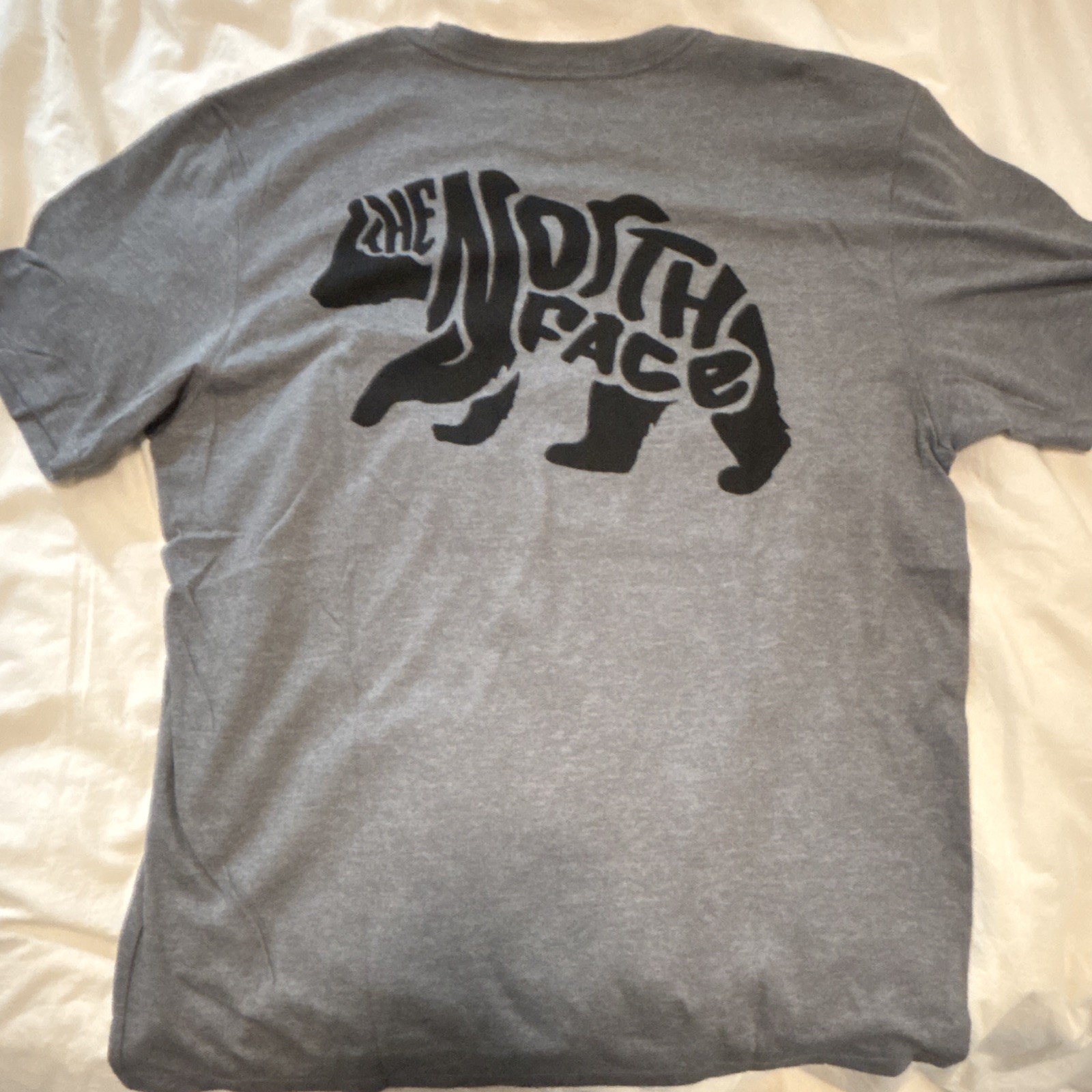 The North Face Men's Short Sleeve T-Shirt with back graphic Size L gallery