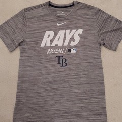 Nike Dri-FIT Tampa Bay Rays Graphic Tee Gray Men’s Medium Short Sleeve