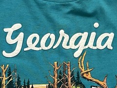 Vintage Georgia tshirt With Deer Single Stitch Teal Green