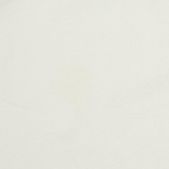 CELINE Logo Print Mesh Trim Leopard Cotton T Shirt – DUTY FREE