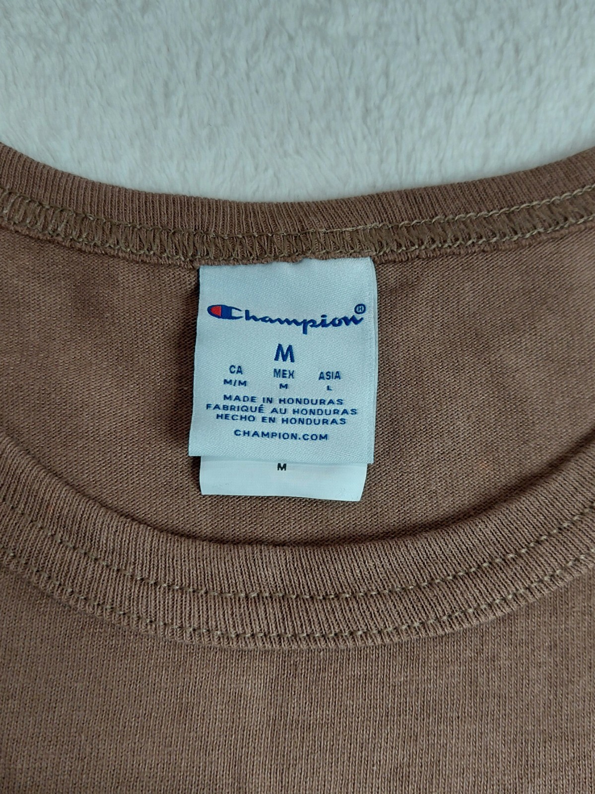 CHAMPION T-Shirt Men's Size Medium Cactus Rainbow Graphic Brown Embroidered Logo gallery