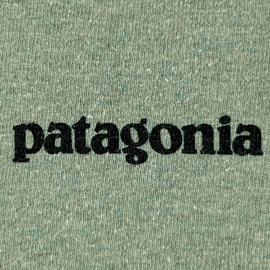 Patagonia Shirt Men Small Bison Responsibili Tee Graphic Work Party Gym Core Ex gallery