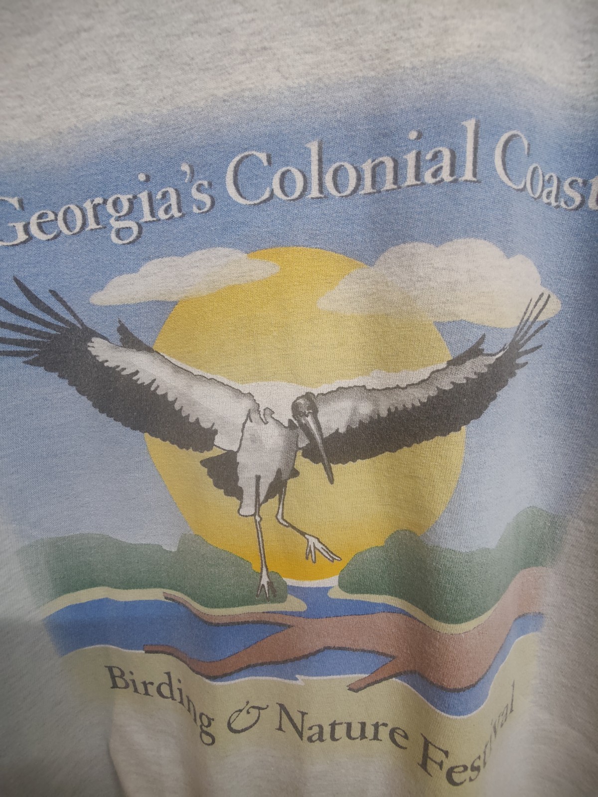 Georgia's Colonial Coast Wood Stork Graphic Long Sleeve T-shirt Men's Large gallery
