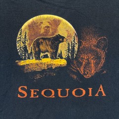 Prairie Mountain Sequoia Bear Moon T-Shirt Men’s 2XL Black Nature Distressed
