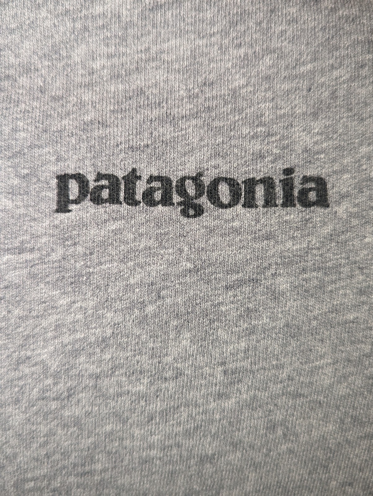 Patagonia Shirt Gray Long Sleeve Hiking Casual Outdoors Spell Out sz Small gallery