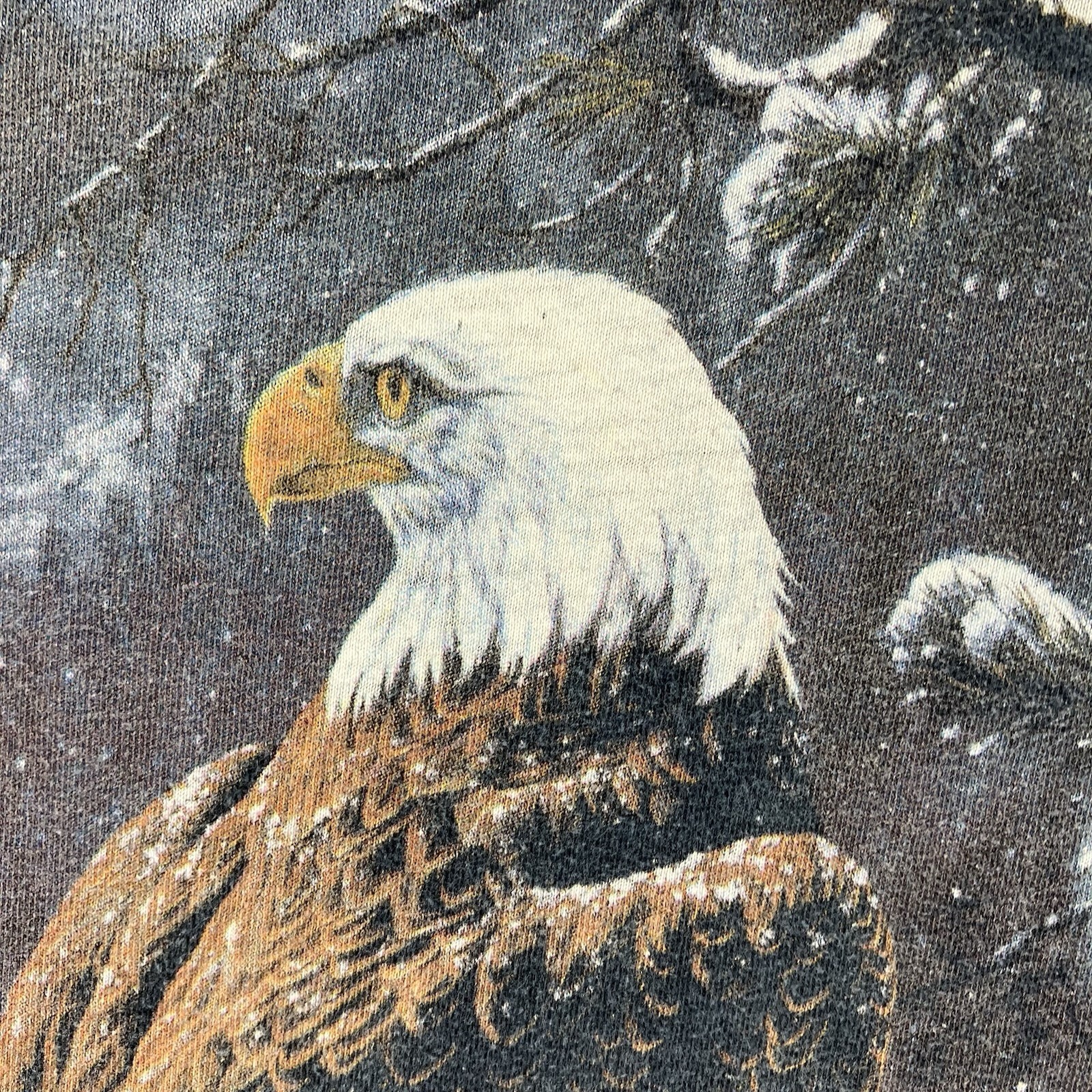 Nature Shirt Mens Large Bald Eagle Winter Scene Washed Blue The Mountain gallery