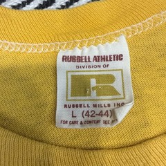 VTG 80s Russell Athletic Size LARGE University Idaho Vandal Swimming Shirt USA