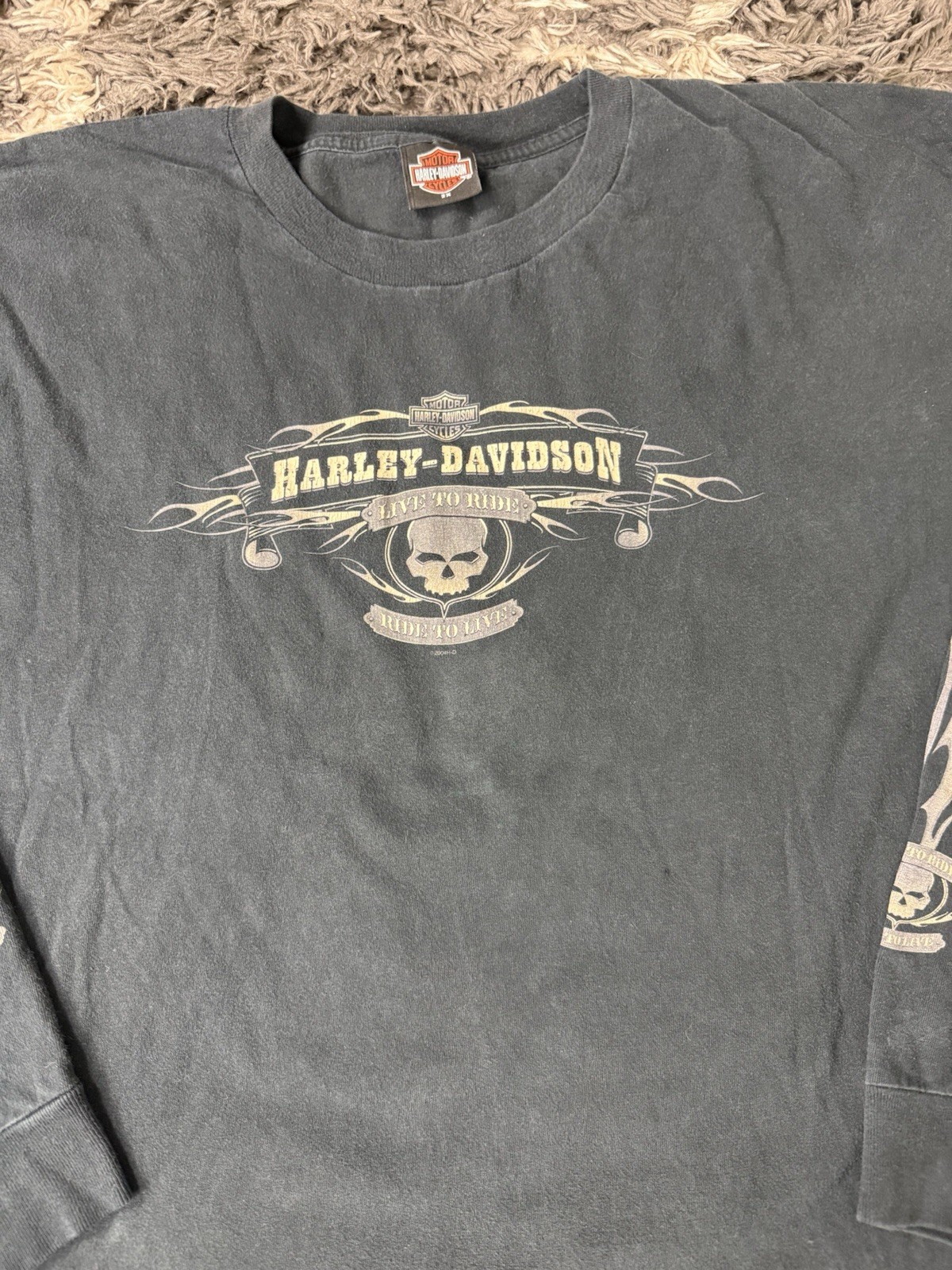Vintage Harley Davidson T Shirt 2X Flame Naples Florida Lizard Skull Long Sleeve gallery