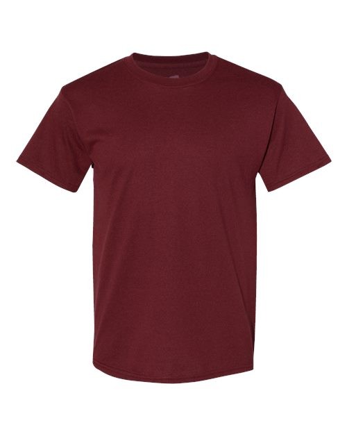 Hanes 5170 Unisex EcoSmart T-Shirt gallery