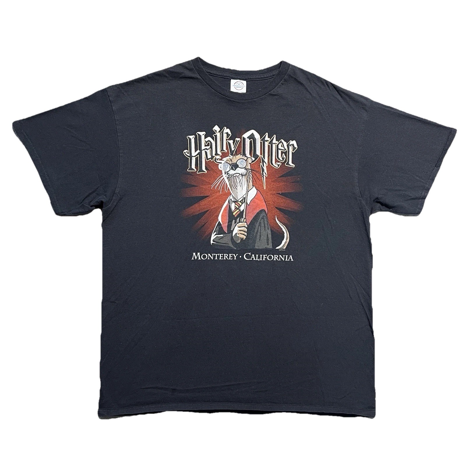 Vintage Y2K Hairy Otter Harry Potter Parody T Shirt XL Monterey CA Graphic gallery