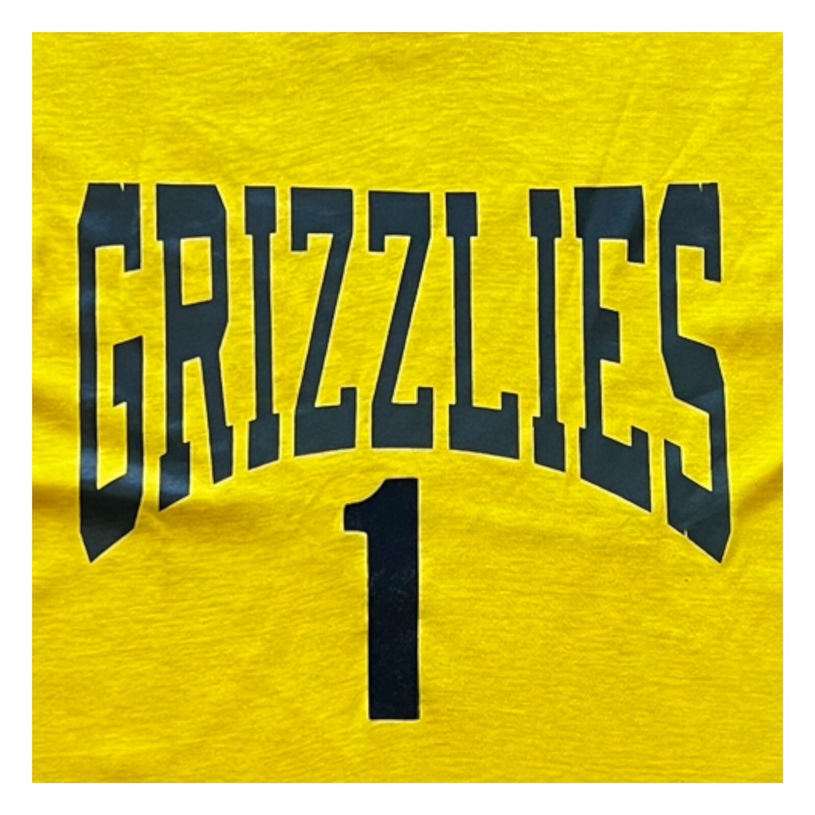 Vintage Ebert Sportswear Grizzlies Parks Rec Tshirt 80s Single Stitch Tee - S gallery