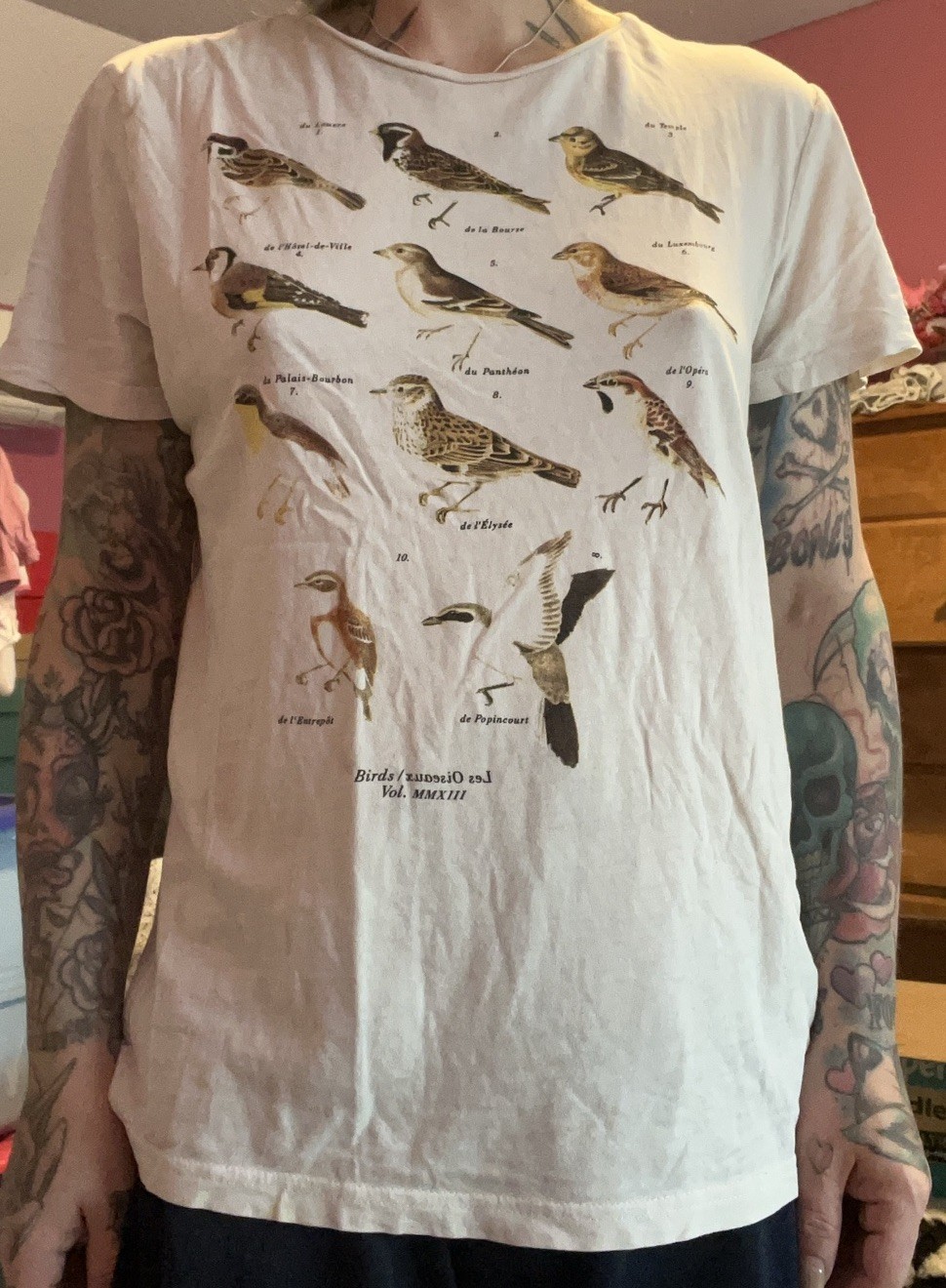 Birds Vol. MMXIII Graphic Cotton Jersey Crew Neck Distressed T-Shirt Men's S gallery