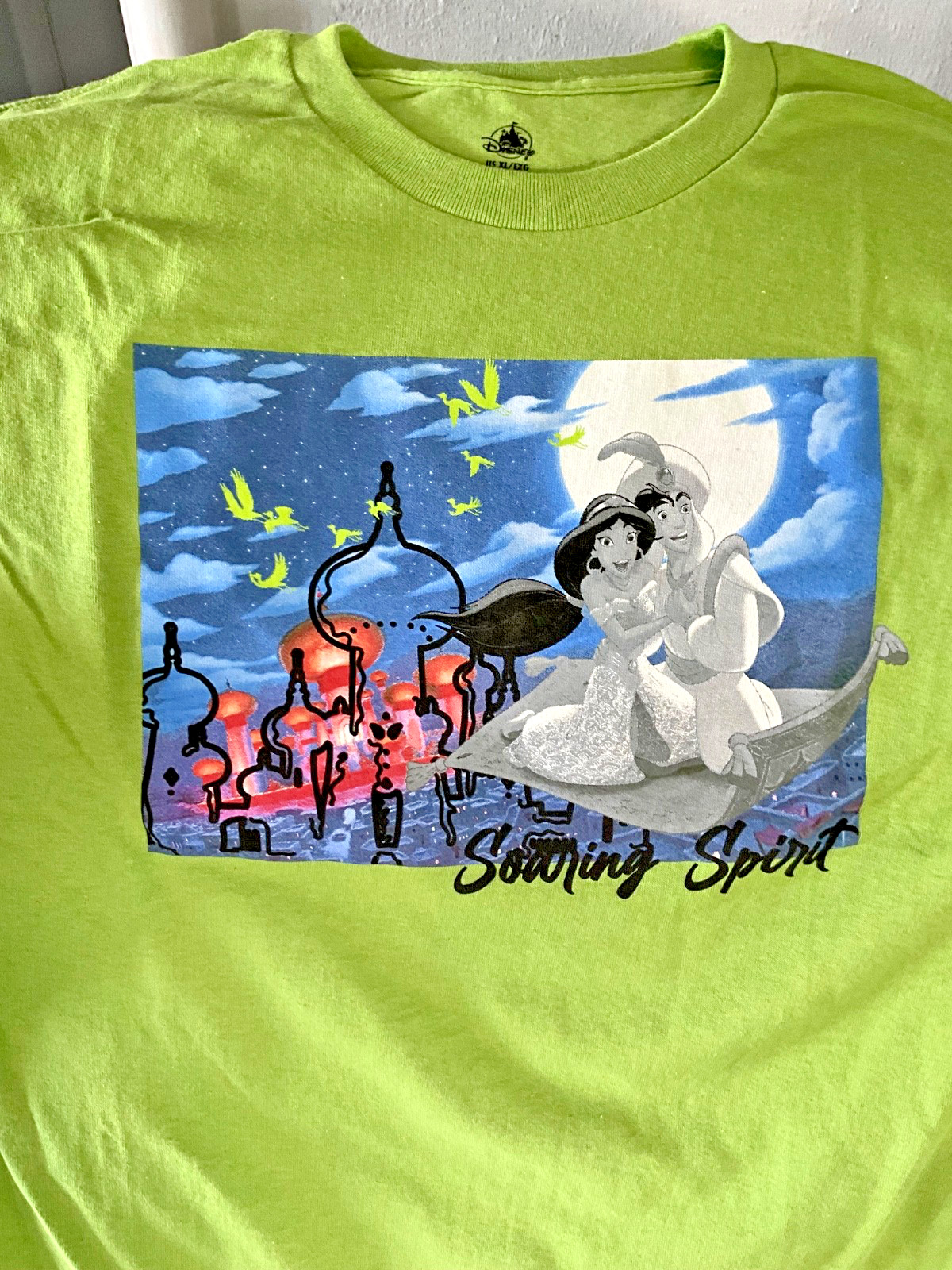 NWT Disney STORE PARKS Aladdin Jasmine Soaring Spirit T-SHIRT TOP ADULT GREEN XL gallery