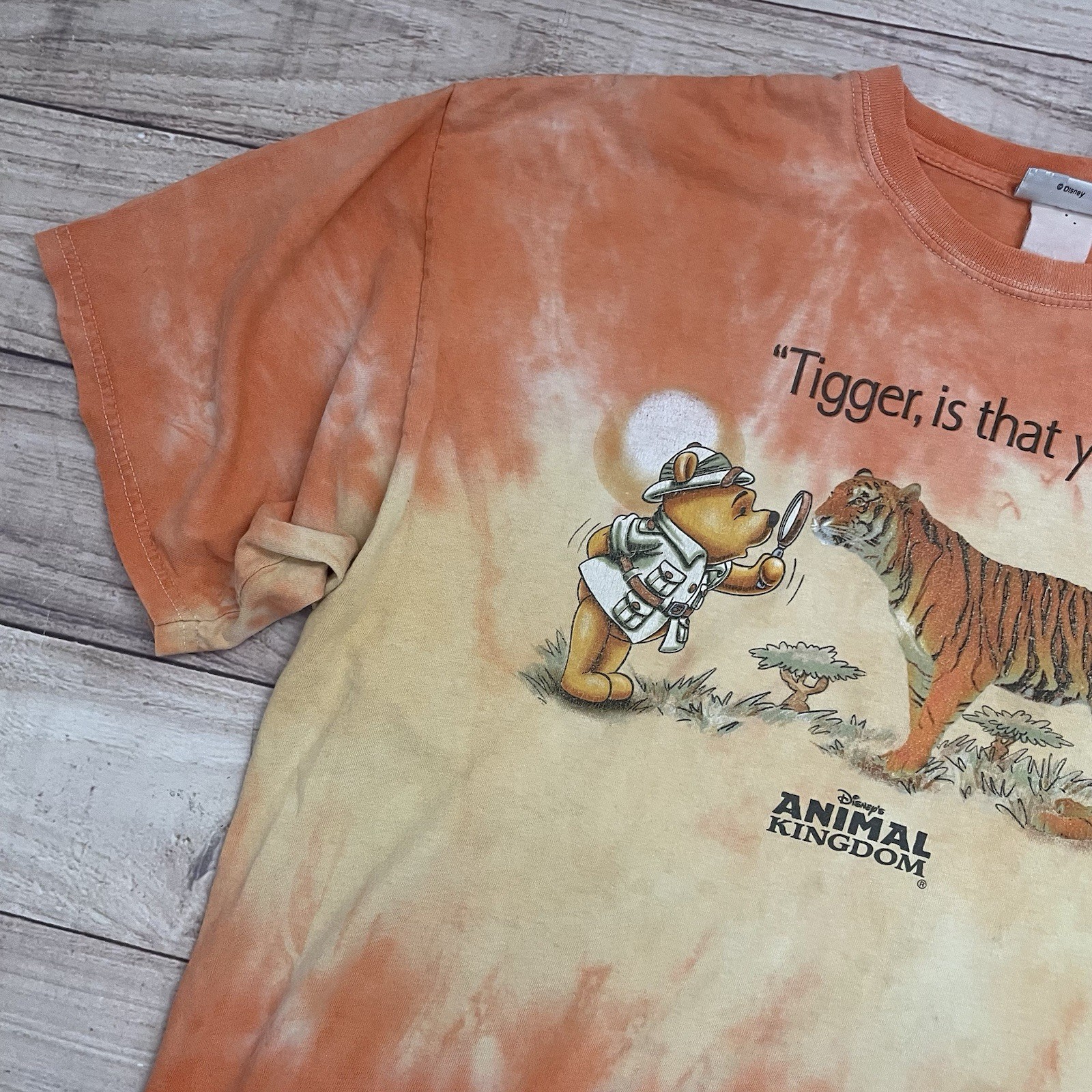 Vintage 90s Disney Animal Kingdom Tigger Is That You? Winnie the Pooh T-Shirt XL gallery
