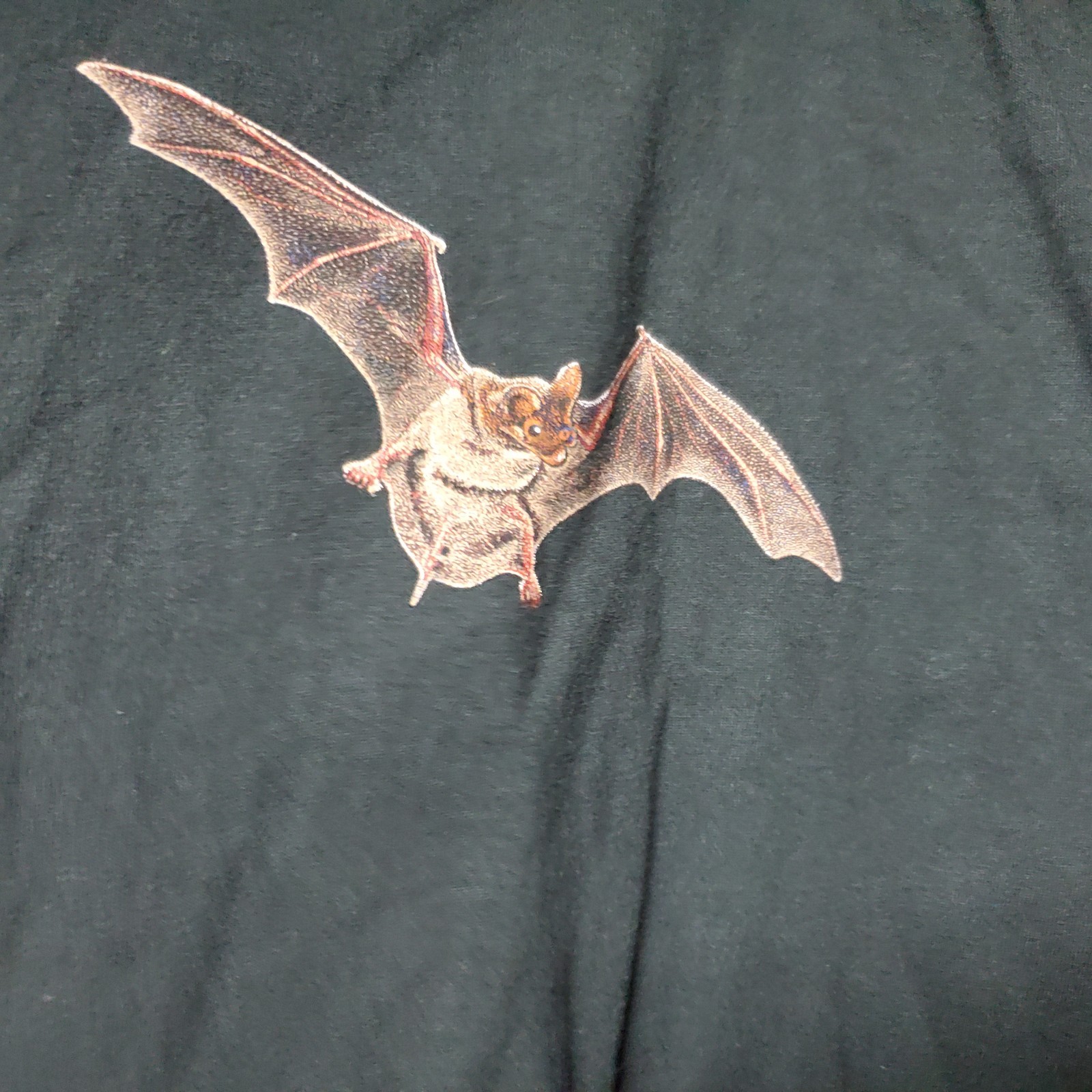 Vintage 90s Single Stitch Wild Cotton Bat Species Double Sided Graphic Shirt XL gallery