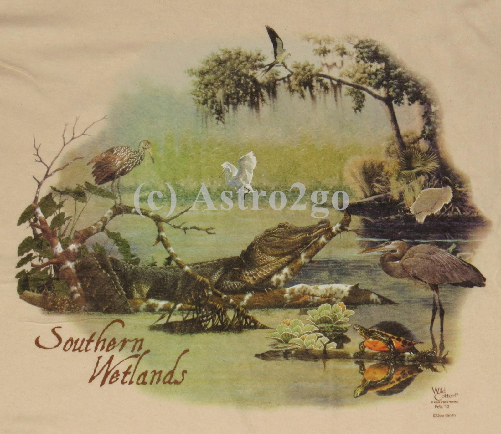 SOUTHERN WETLANDS-Everglades Swamps Animals Science Nature Ecosystem T shirt gallery