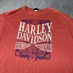 Harley-Davidson 2020 Stonewall Orange, VA Coral T Shirt Size XL