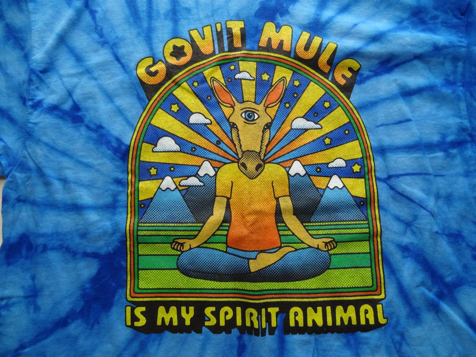 Gov't Mule Is My Spirit Animal L Colortone Tie-Dye Band Rock Tour Tee T-Shirt gallery
