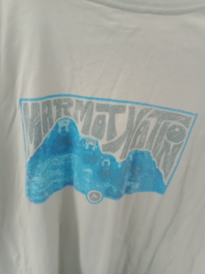 Marmot Graphic T Shirt Mens Size XL Beige Marmot Valley B120 gallery