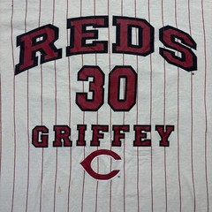 Vintage 2000 Ken Griffey Jr. Cincinnati reds Pinstripe Shirt Size Large