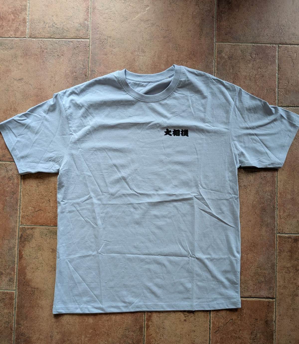 Japan x Paris Sumo Blue T-Shirt - Traditional Artwork Edition gallery