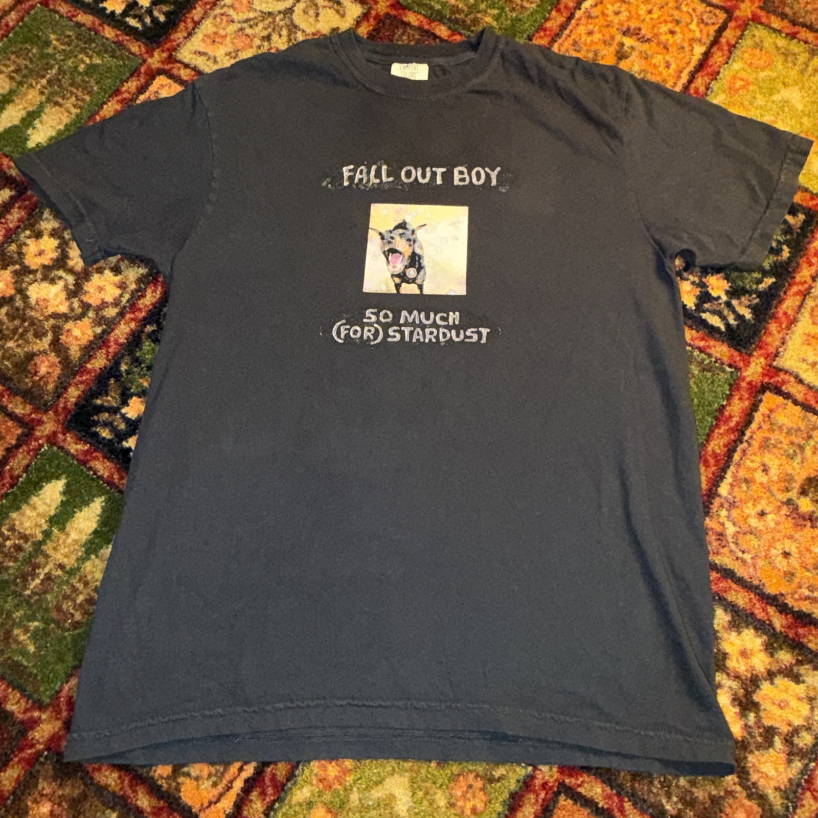 Fall Out Boy “So Much For Stardust” Band T Shirt M Dog Graphic Y2K