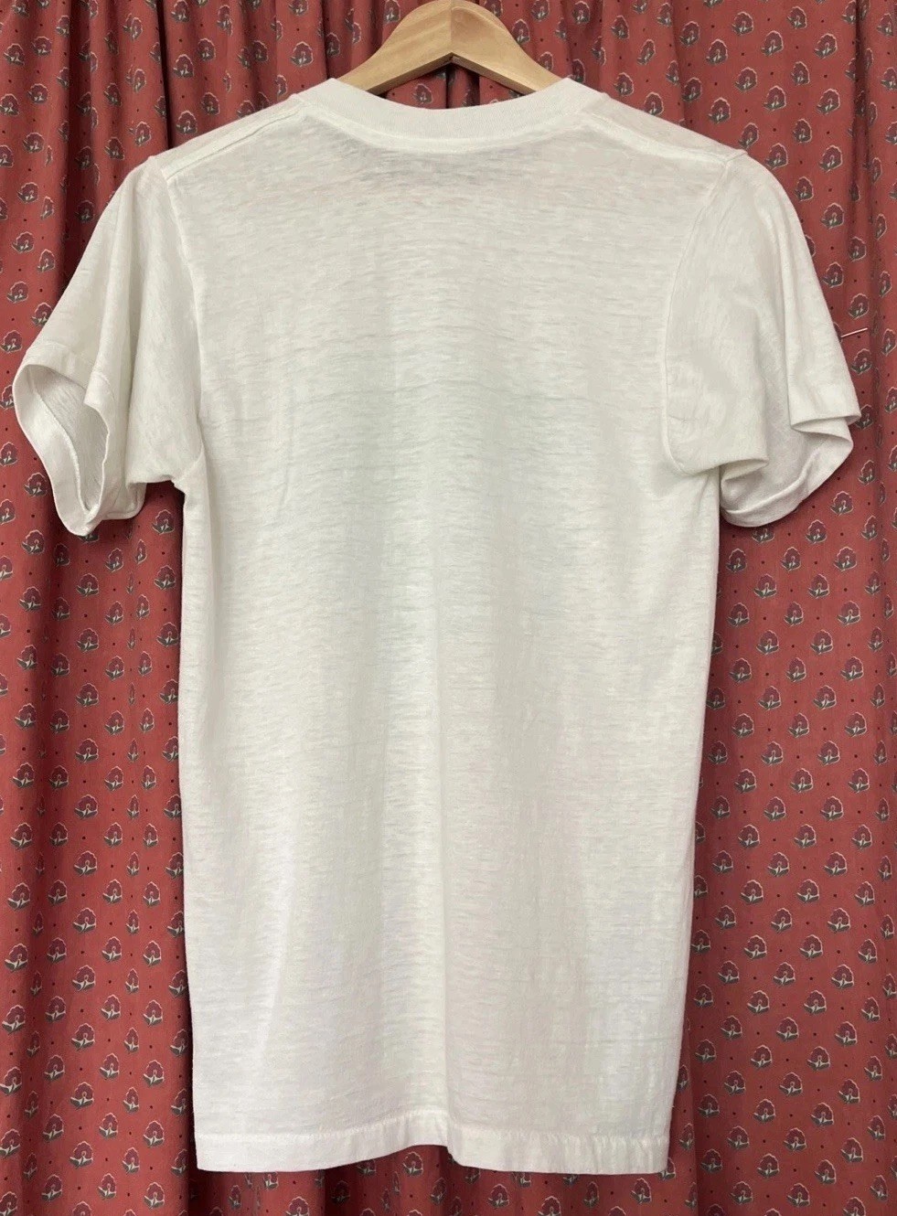 Southern Railway Vintage Single Stitch Tee Shirt Gauzy CSX Railroad Norfolk gallery