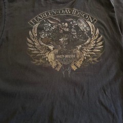 Looney Tunes Harley-Davidson Vintage 2014 Graphic Tee Skulls Wings Black XL
