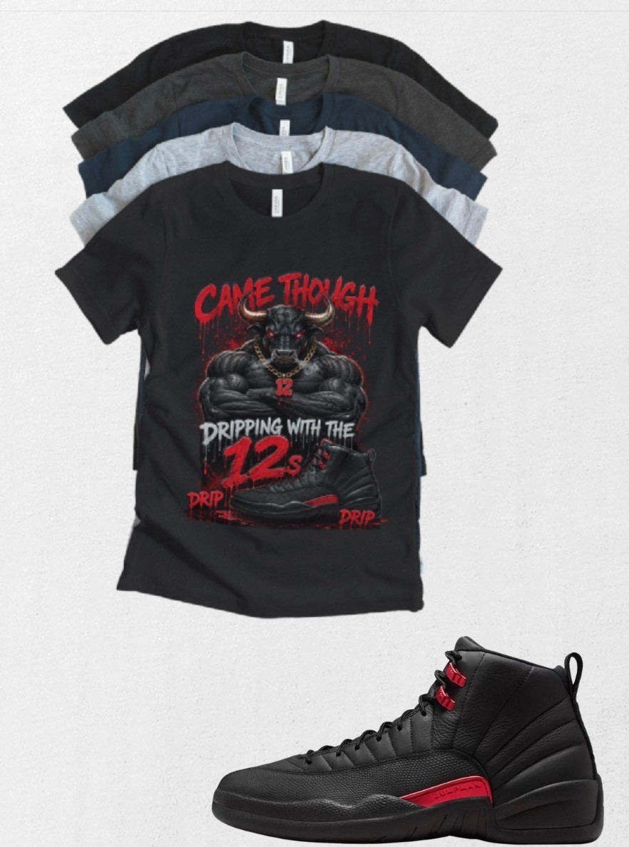 Shirt to match Jordan 12 Bloodline AJ12 Came through Matching Tee Streetwear gallery