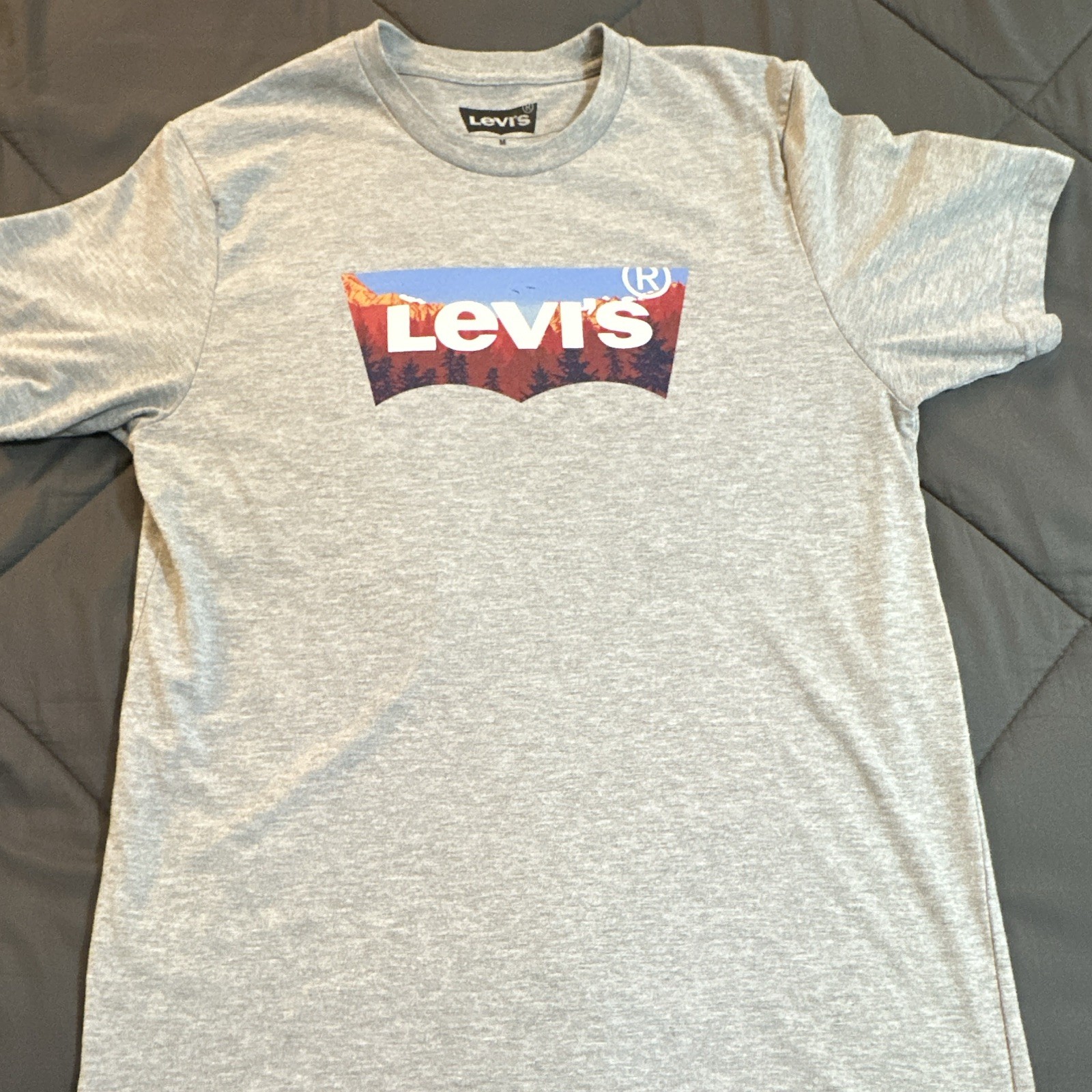 Levi's Men's Gray Graphic Logo T-Shirt Crew Neck Short Sleeve Cotton M gallery