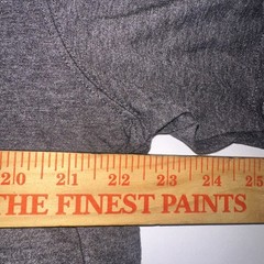 NWT EDDIE BAUER Mens L Tshirt Gray Graphic Mountain Outdoor Birds Classic Fit