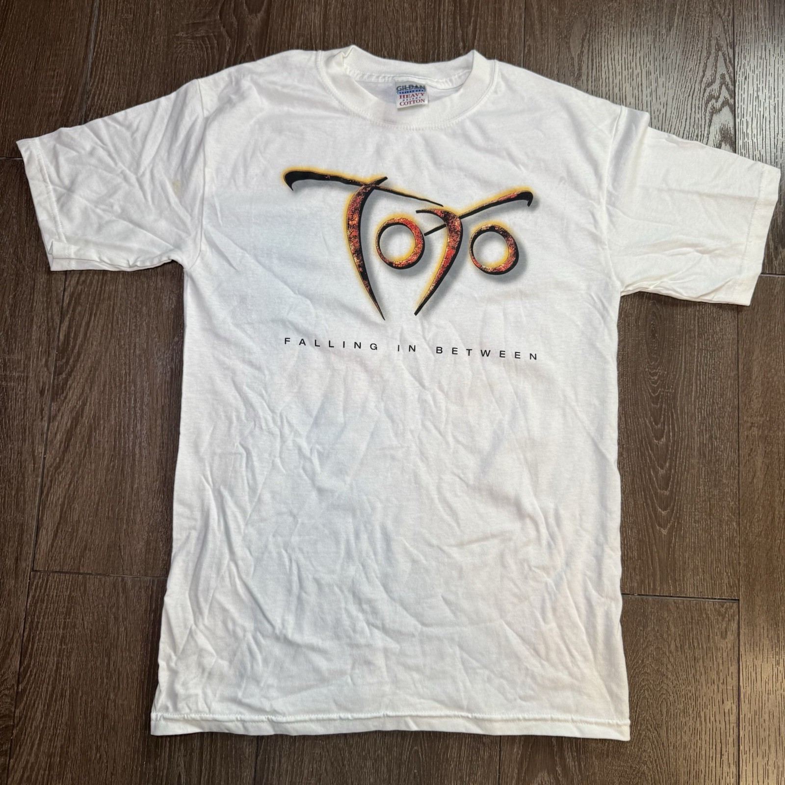 2006 TOTO “Falling In Between” Vintage Band Tee Bundle Of 4 Jerzees/Gildan gallery