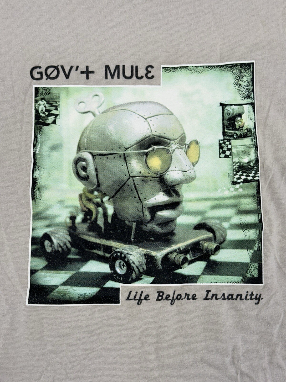 Vintage Y2K Gov’t Mule Life Before Insanity 2000 Tour T Shirt Mens Medium RARE gallery