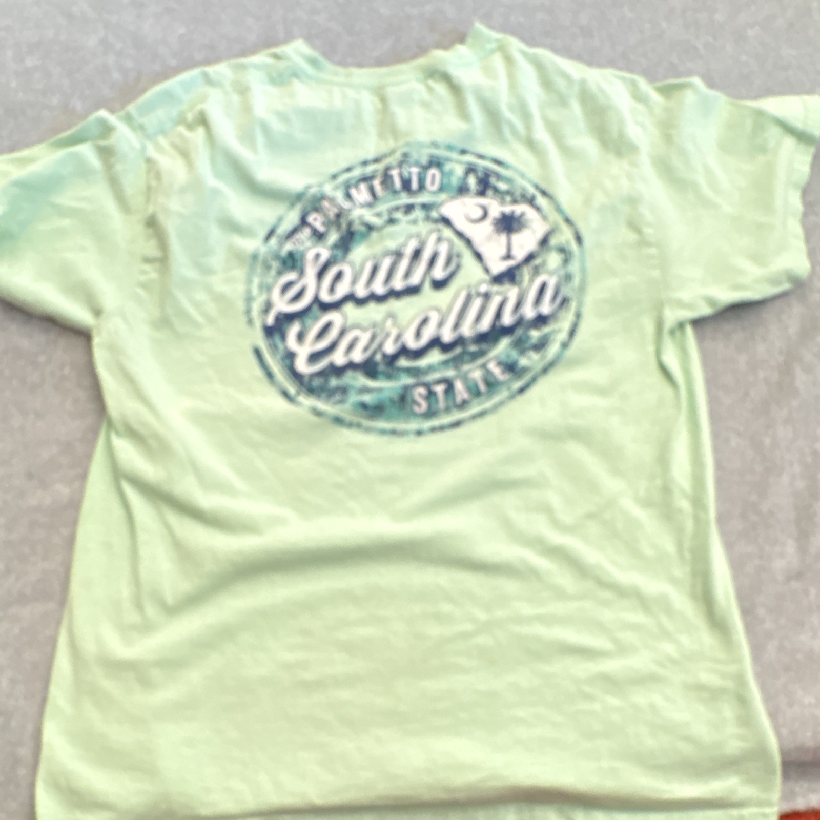 Gildan Cotton Men's L Mint Green South Carolina Palmetto Graphic Tee Crew Neck gallery