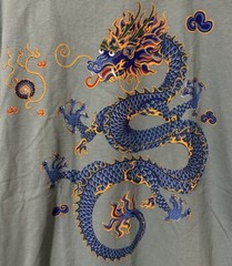 Vintage Discovery Channel Store Diana Dee Tyler Dragon Print T Shirt – Small 90s