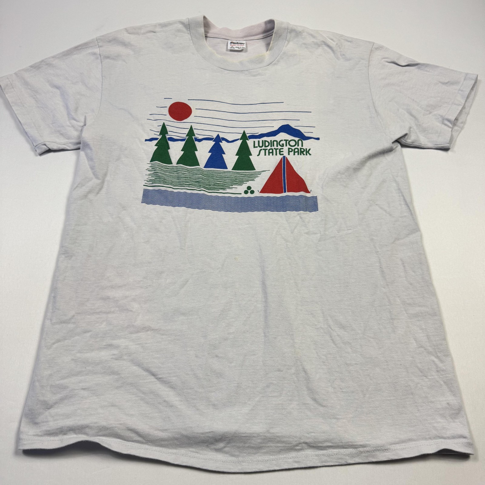Vintage Stedman Shirt Mens XL Gray Ludington State Park Camping Graphic Tee USA gallery