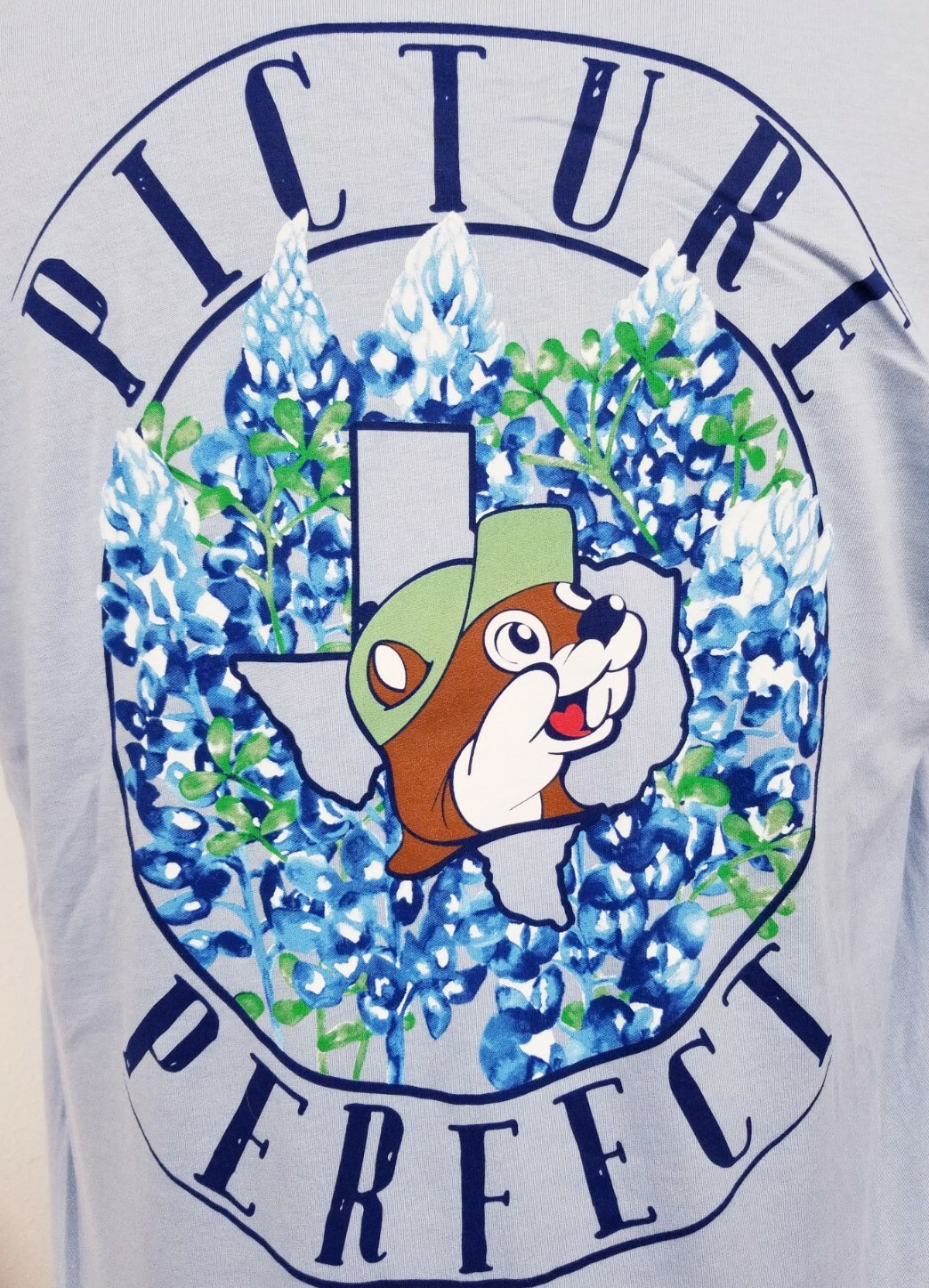 Buc-ee's Texas Bluebonnets "Picture Perfect" Beaver Blue T-Shirt New Choose Size gallery