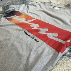 SPRiNG 2020 PALACE SKATEBOARDS CATCH DAS FADE TEE HEATHER Palazzo dello Sportivo