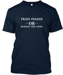 Train Insane Or Remain The Same T-Shirt Made in the USA Size S to 5XL