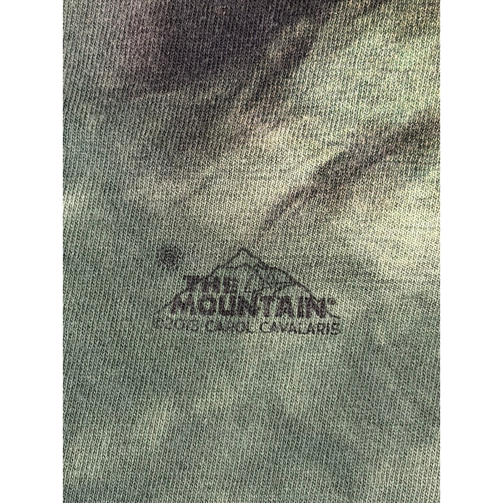 The Mountain Leopard Graphic T-Shirt XL Green Tie Dye Carol Cavalaris Big Cat T gallery